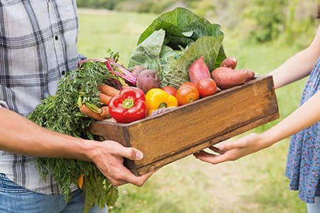 Farmer giving box of vegetables to customer