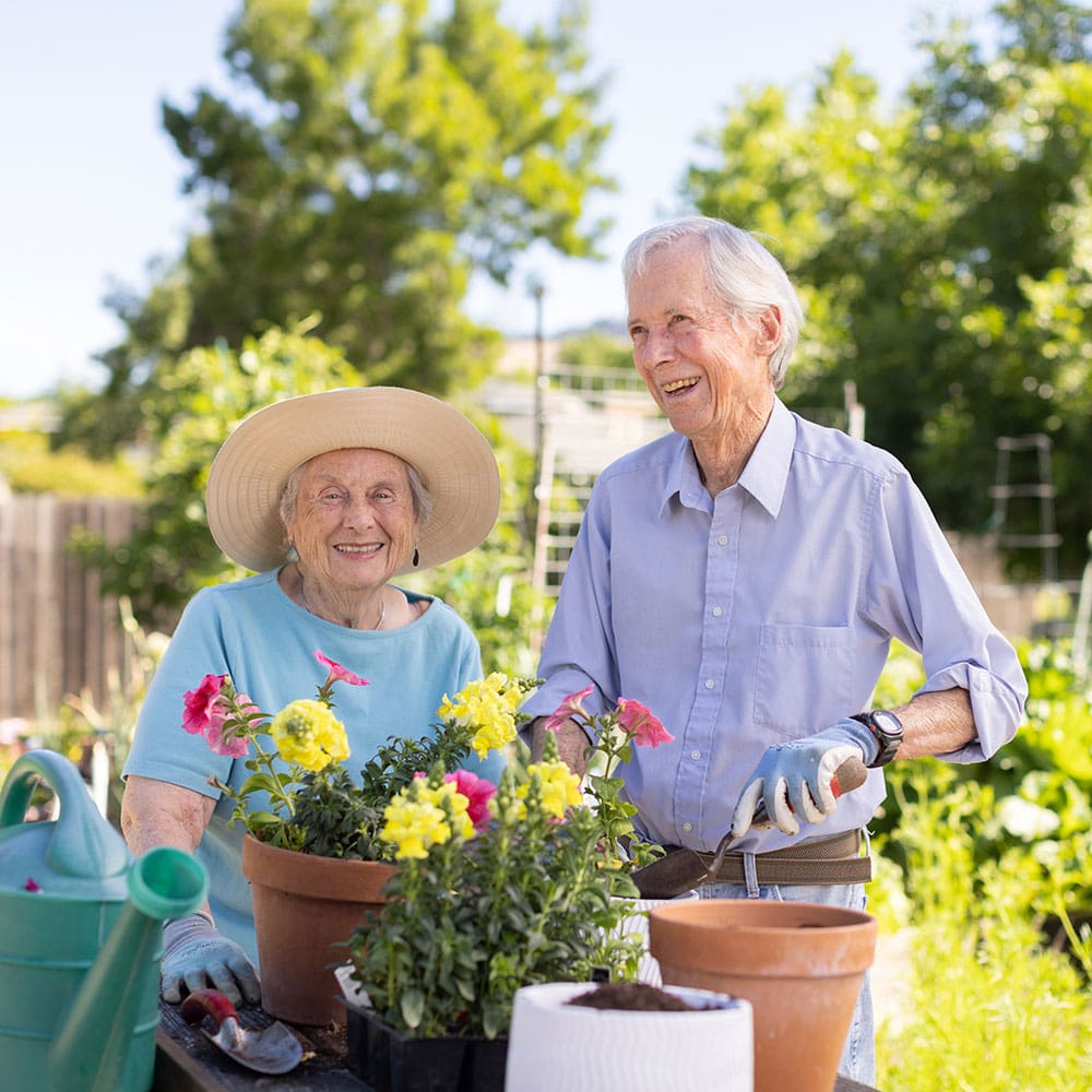 Portrait of senior man and woman gardening at Friends House