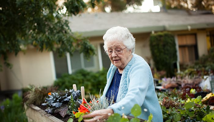 Portrait of a woman enjoying the community garden at Sunny View