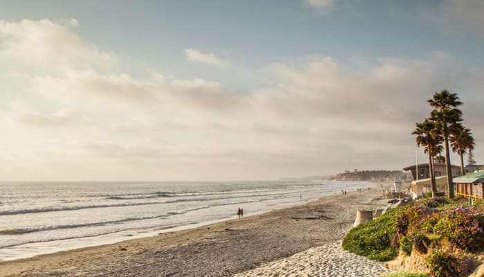Landscape image of the beach by Wesley Palms