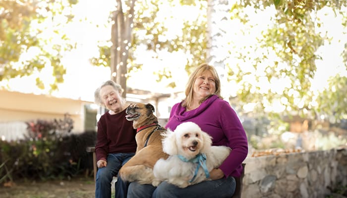Portrait Of Smiling Woman With Pet Dogs Sitting In Her Lap At Wesley Palms