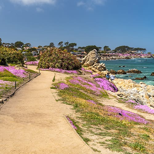Canterbury Woods is conveniently located nearby Pacific Grove