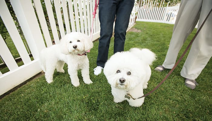 Villa Gardens offers pet friendly accommodations