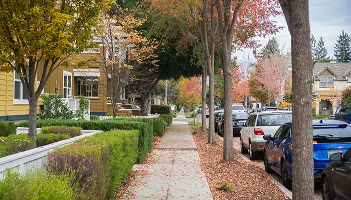 A close up of Webster House neighborhood located in Palo Alto