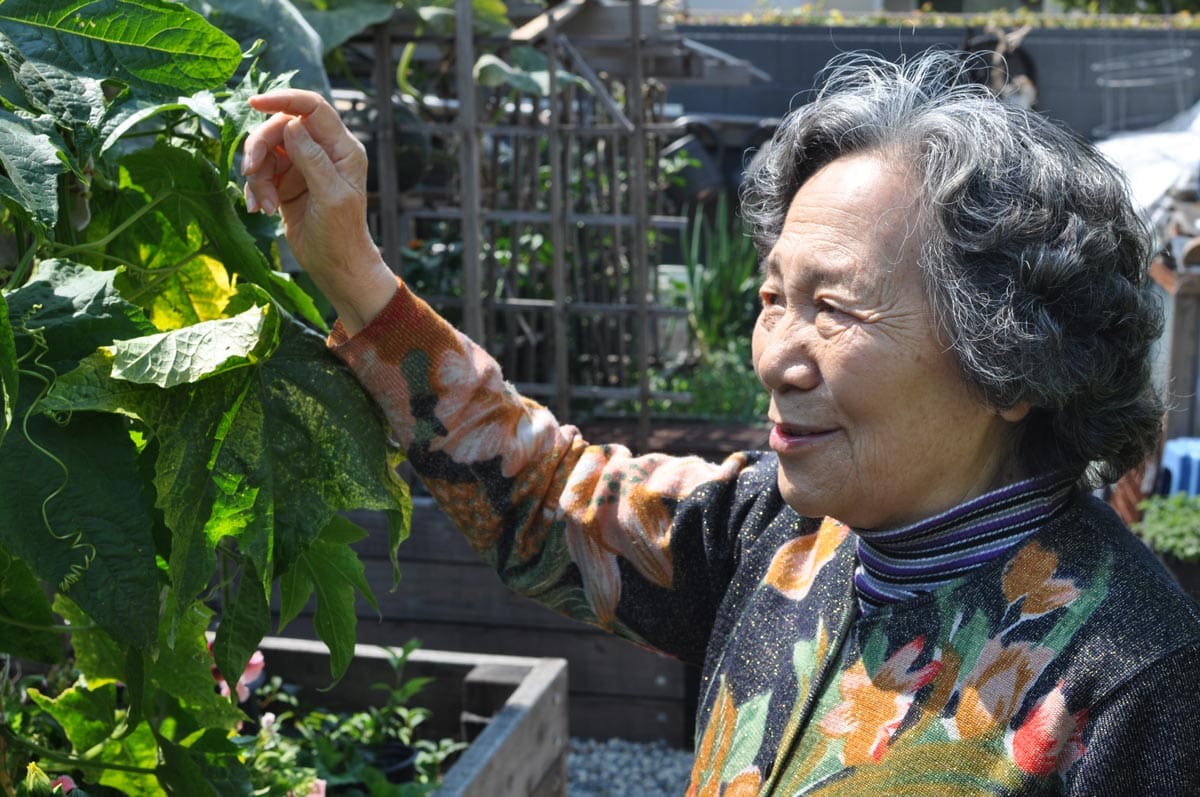 Senior woman tending to outdoor garden