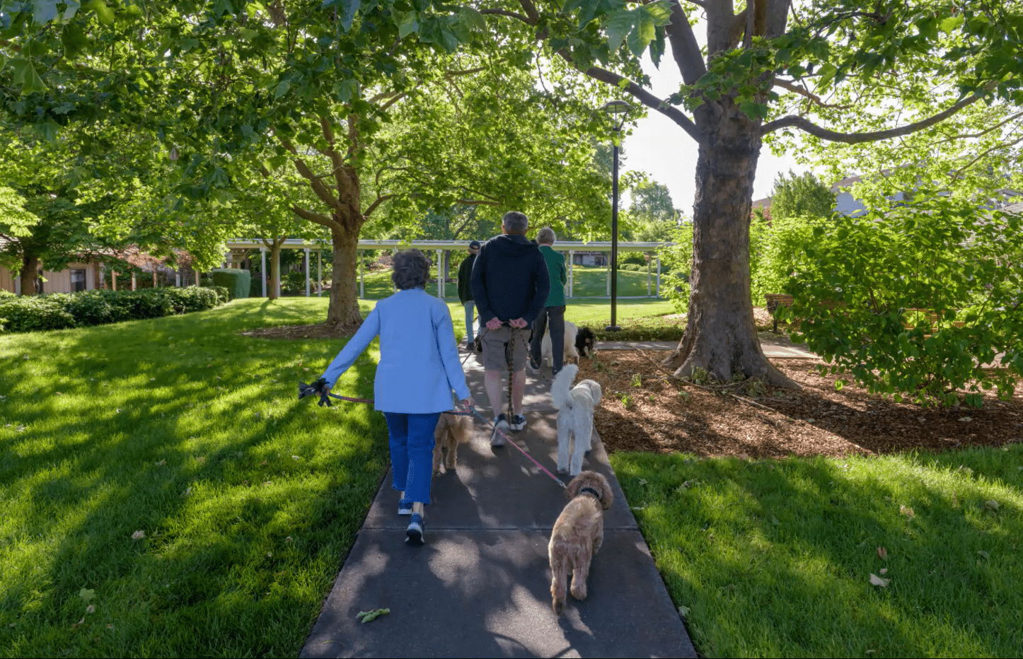 Residents at Spring Lake Village walk their dogs along a shaded, paved pathway. 