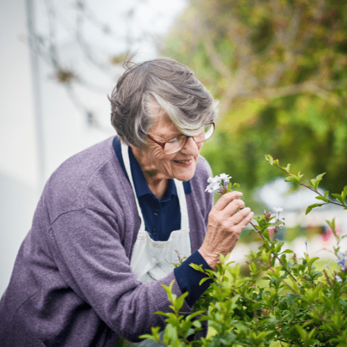 Elderly lady sniffing a florwer