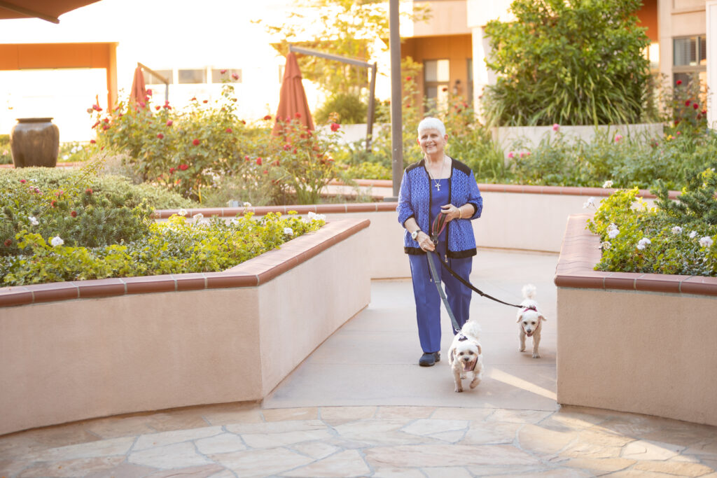 a senior walking her dogs