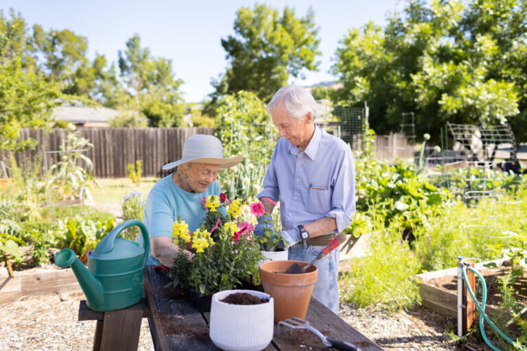 seniors gardening