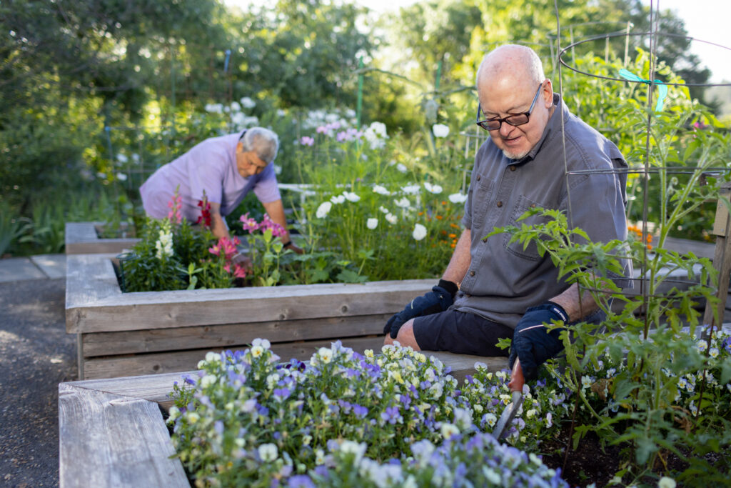 seniors gardening