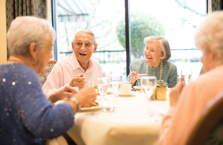 a group of seniors having dinner and talking each other