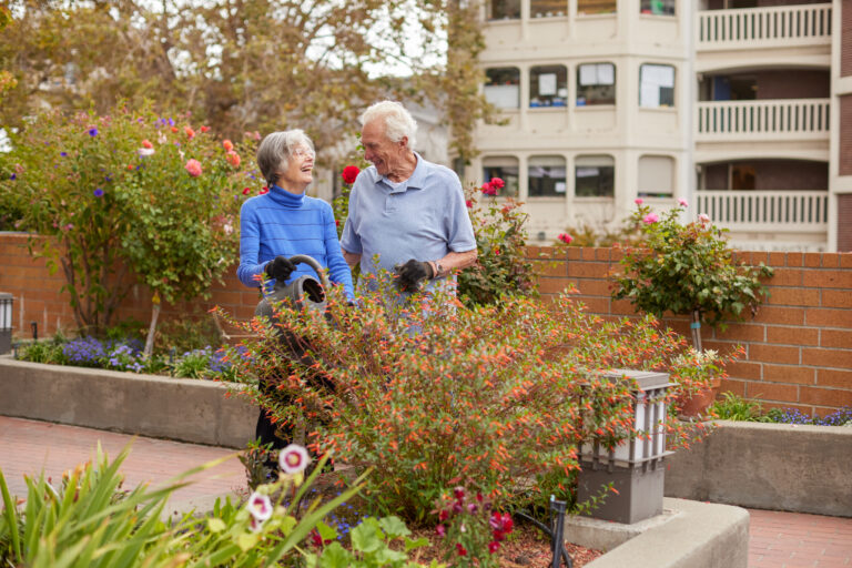 a couple of seniors in the garden taking care of plants