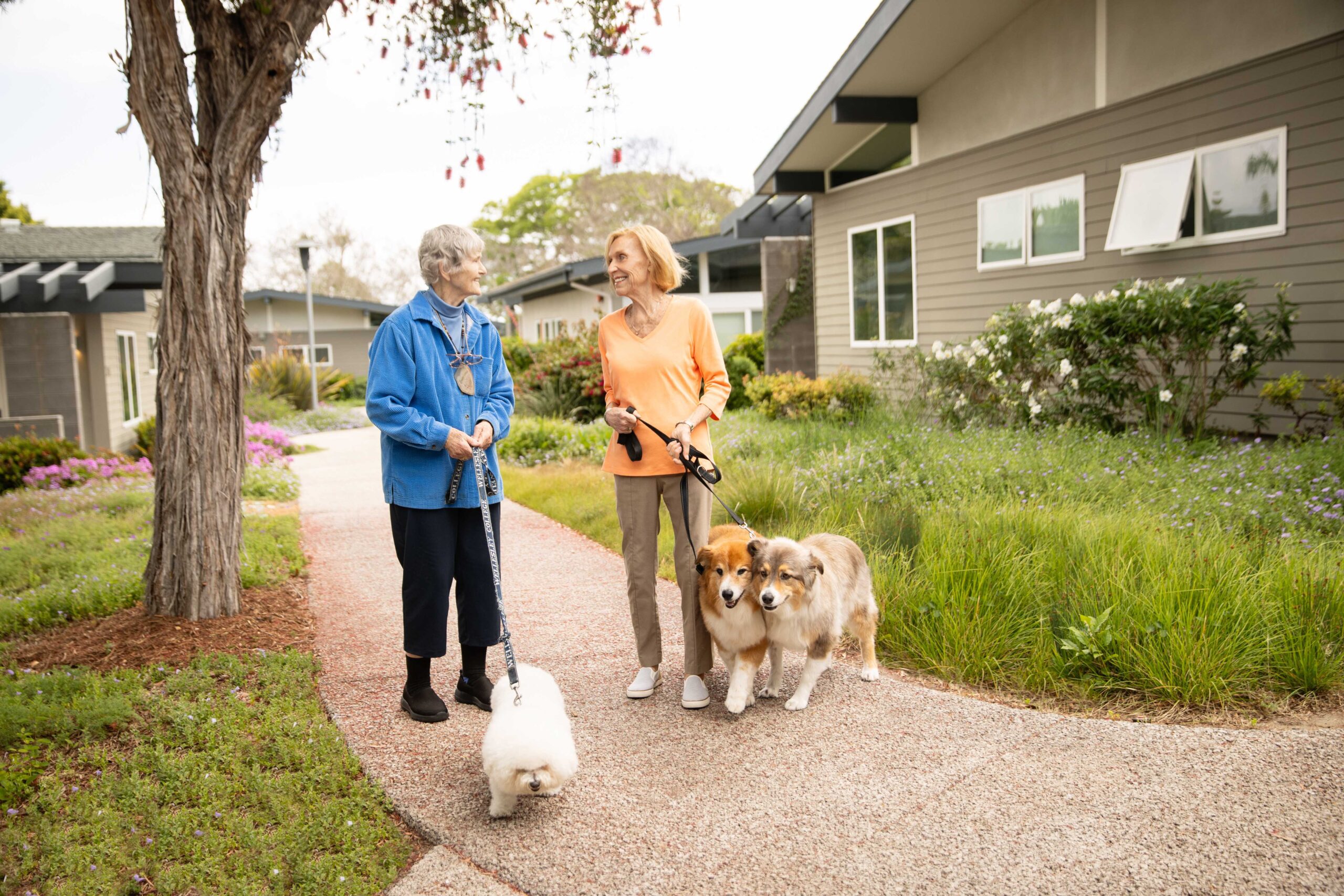 two senior ladies walking their dogs