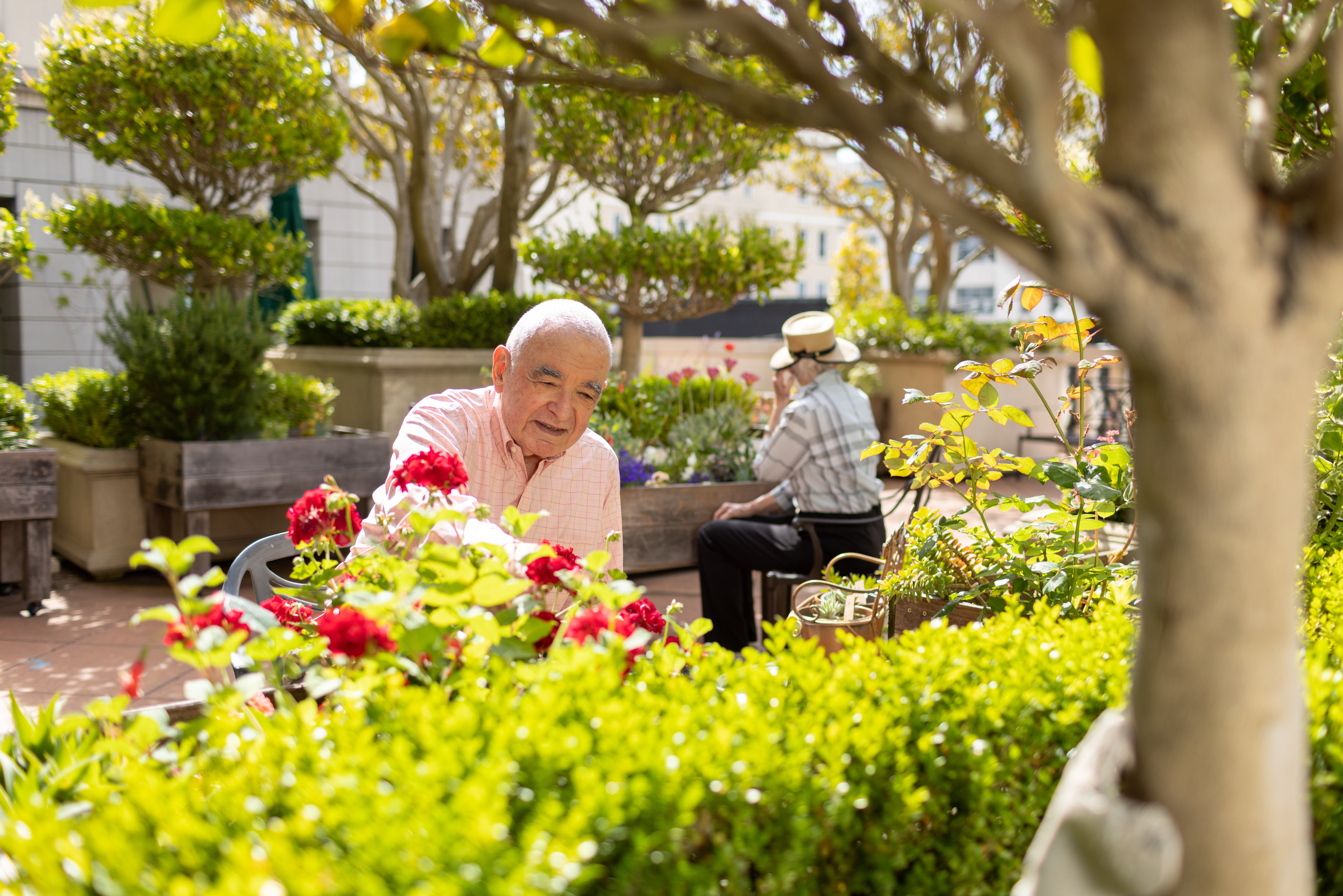 seniors gardening or caring for plants