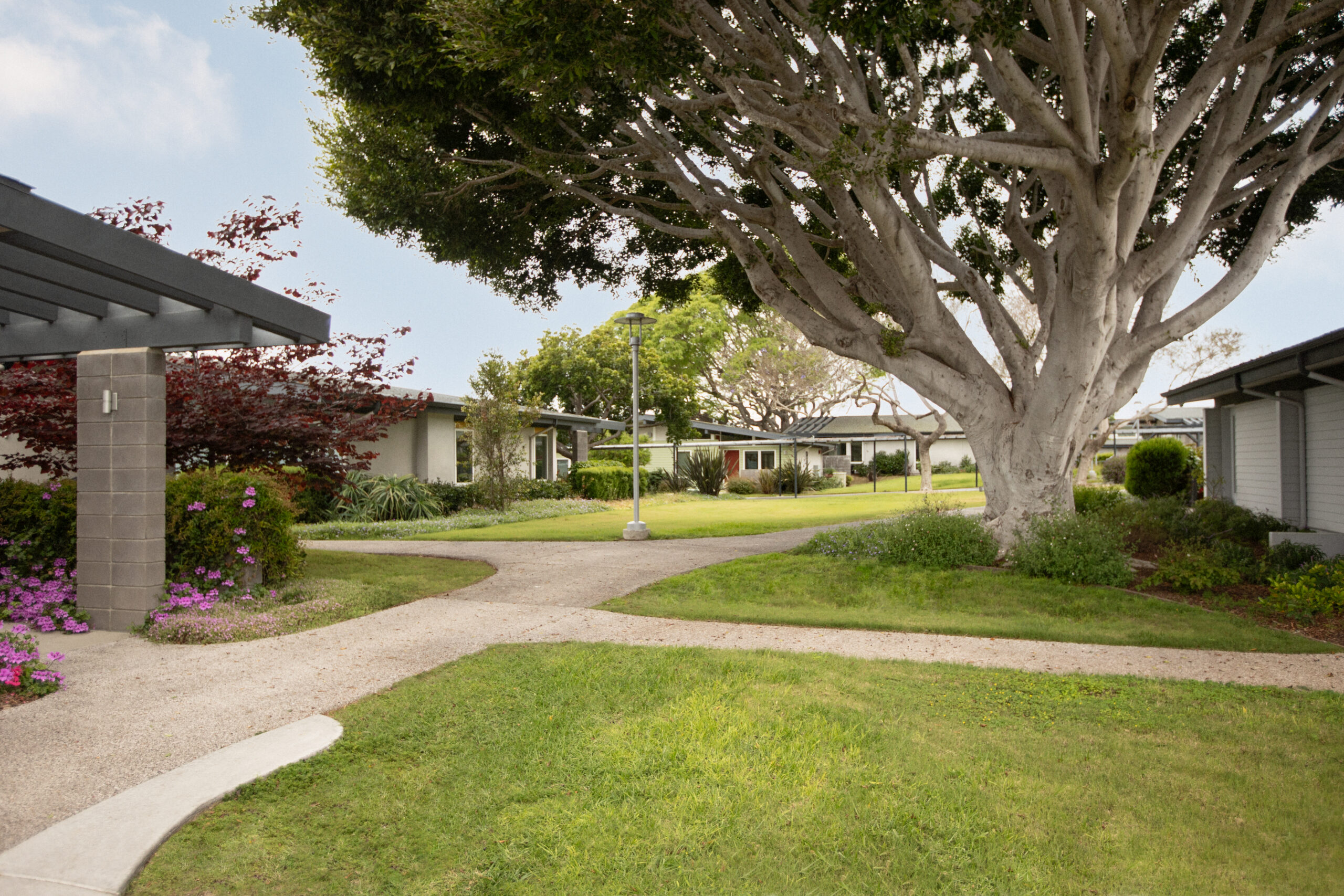 reading spaces for seniors