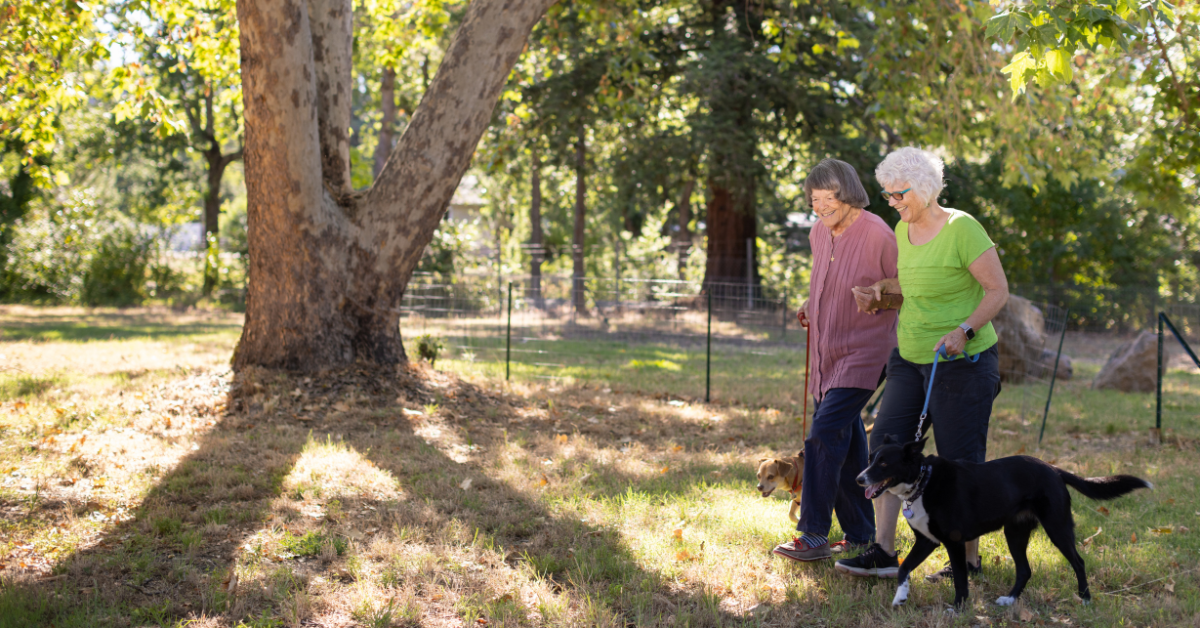 mindfulness for seniors in assisted living