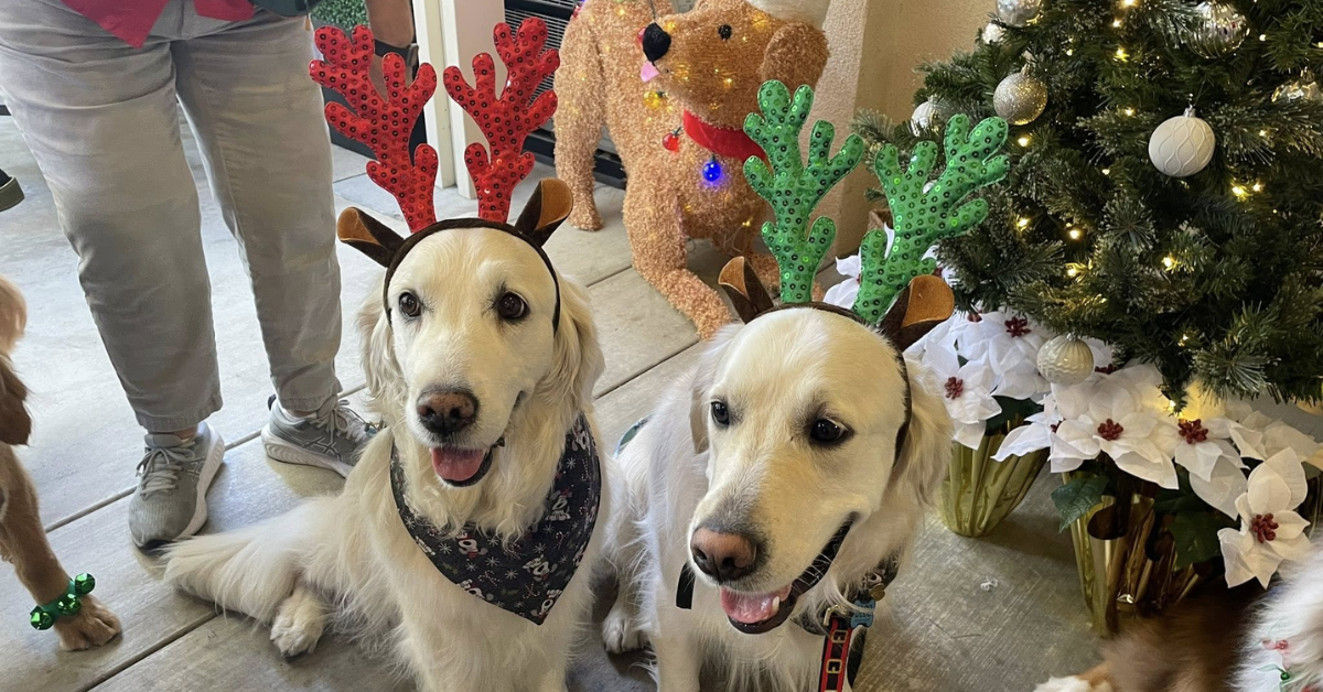 Festive Events Support independent Senior Living