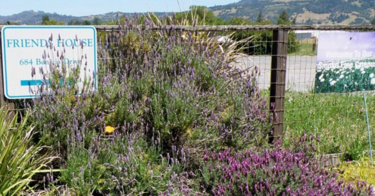 Compassionate Assisted Living