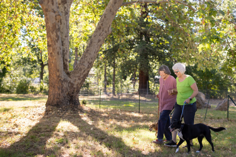 Best Retirement Communities with Nature
