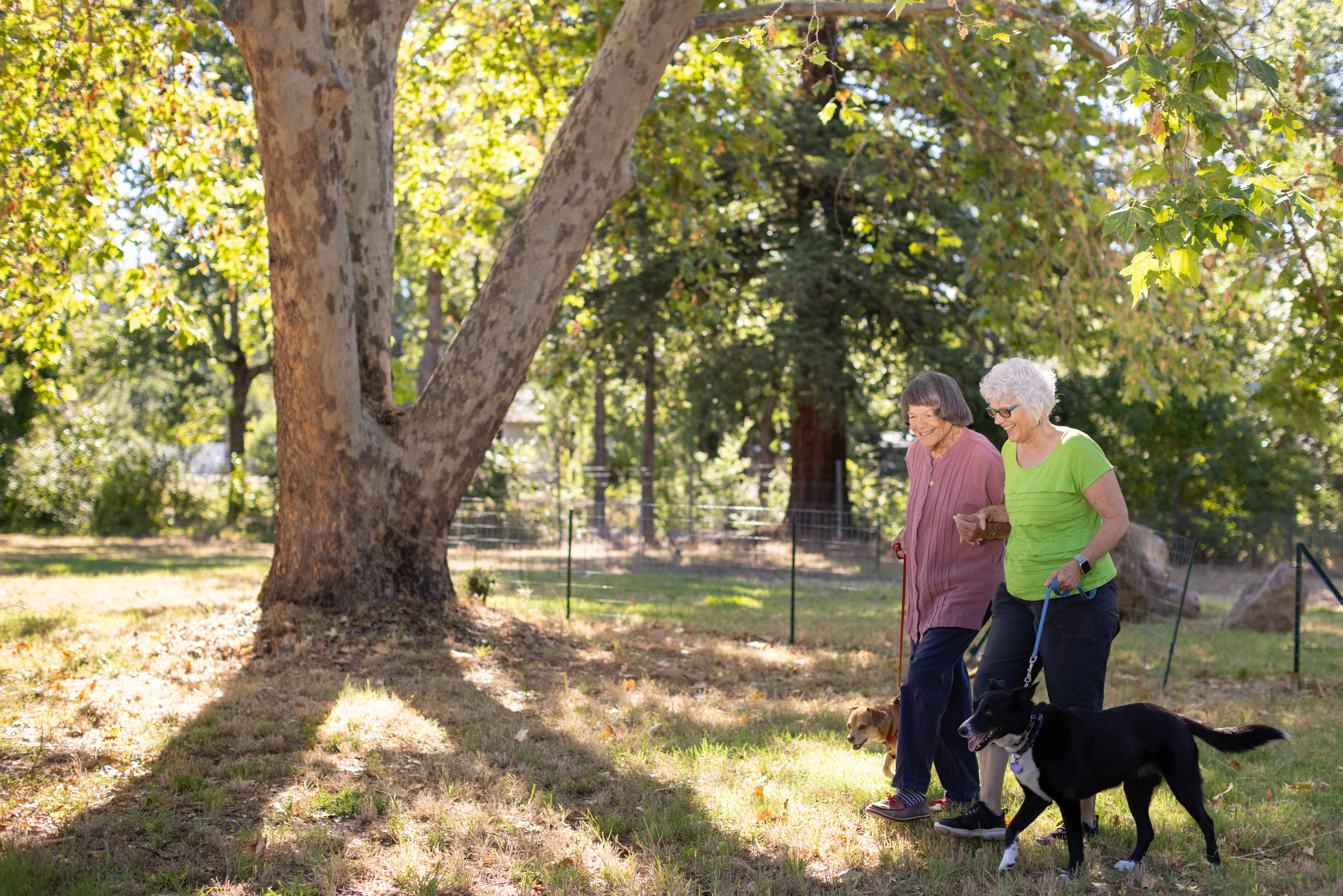 Best Retirement Communities with Nature