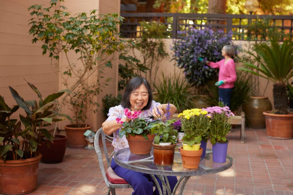 Senior Apartments