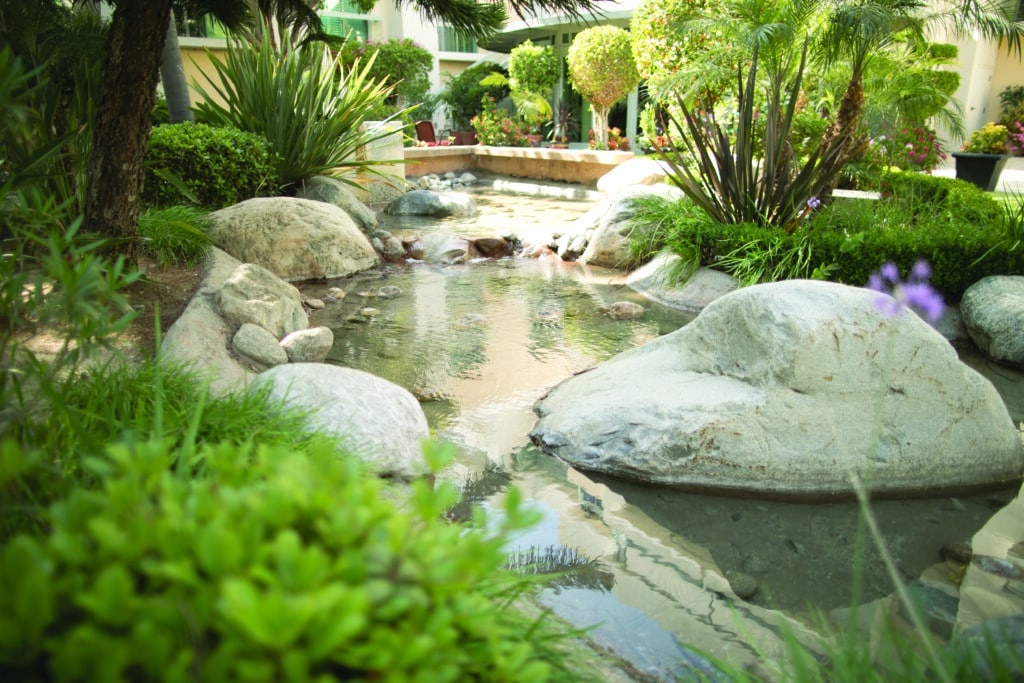 Saltwater Swimming And The Pleasure Of Moving At Your Own Pace 2 Saltwater Swimming For Seniors In Independent Living