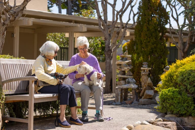 Pet-Friendly Lifestyle For Seniors