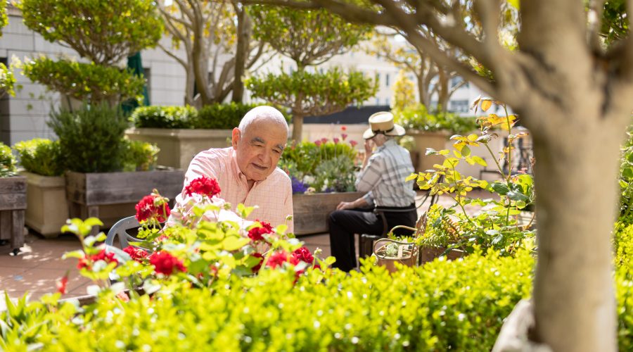 a gentleman taking care of your flowers on a sunny afternoon