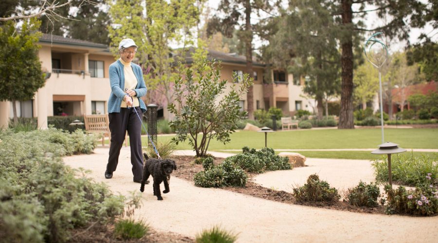 a senior lady walking with her dog