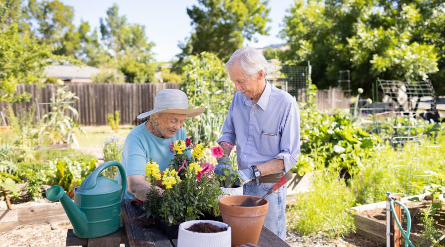 seniors gardening