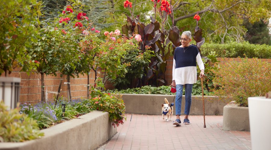 a woman walking with a little dog