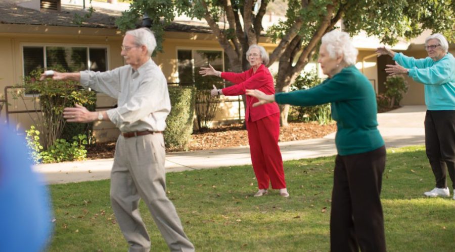 a group of seniors doing yoga