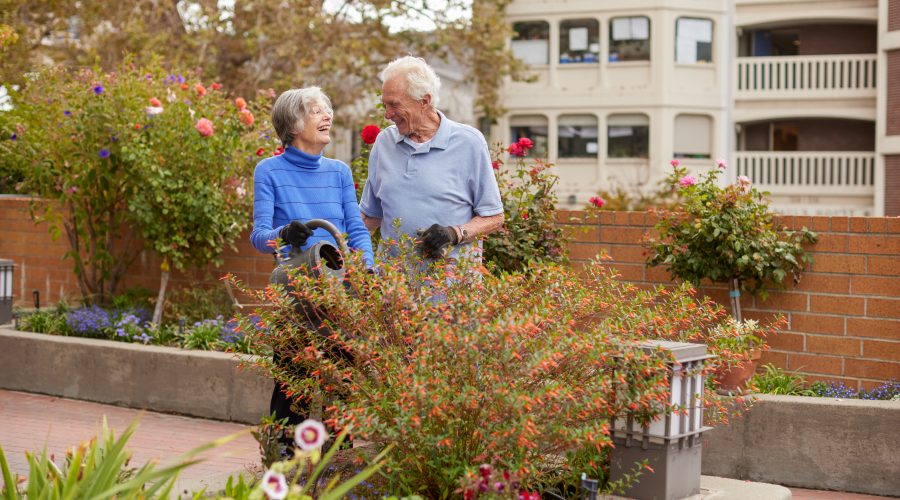 a couple of seniors in the garden taking care of plants