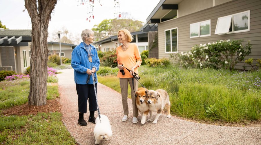 two senior ladies walking their dogs